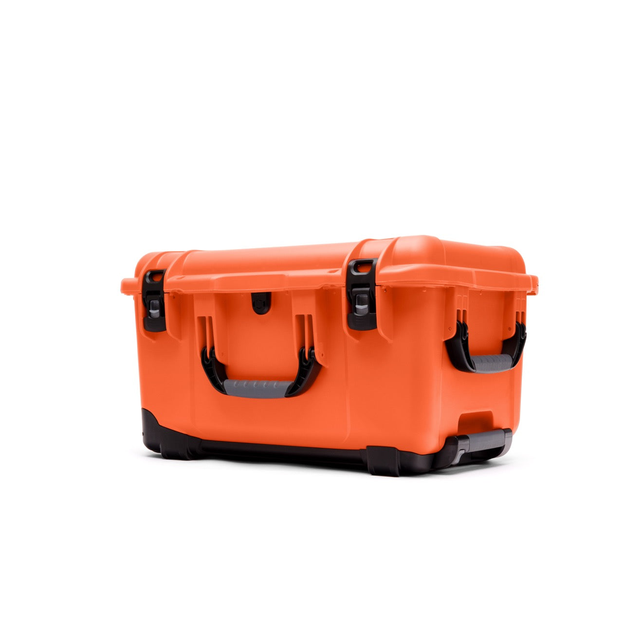 Nanuk 938 Case