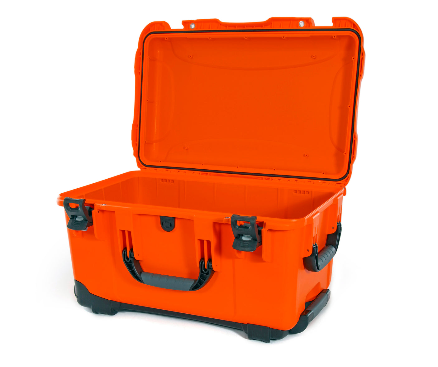Nanuk 938 Case