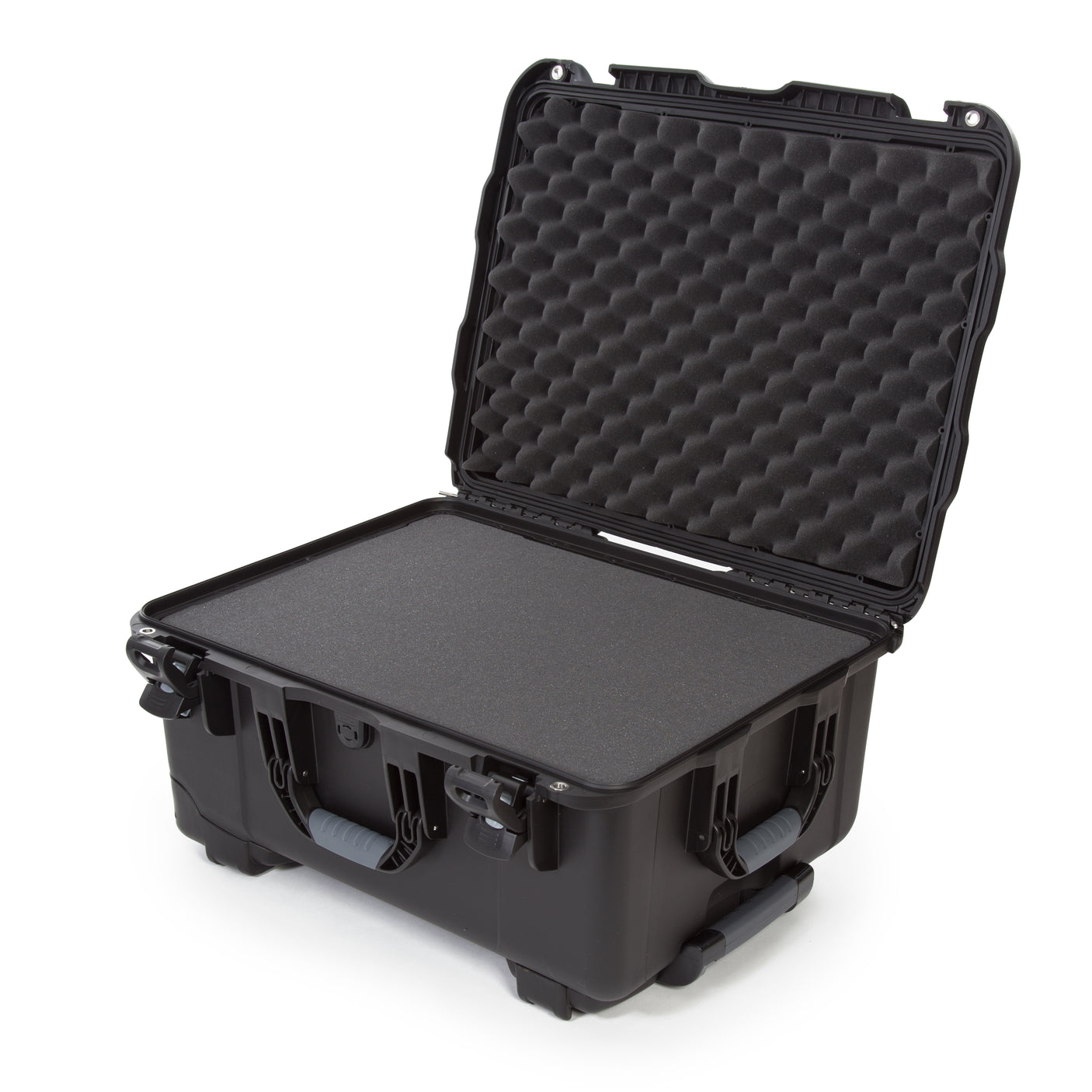 Nanuk 950 Case