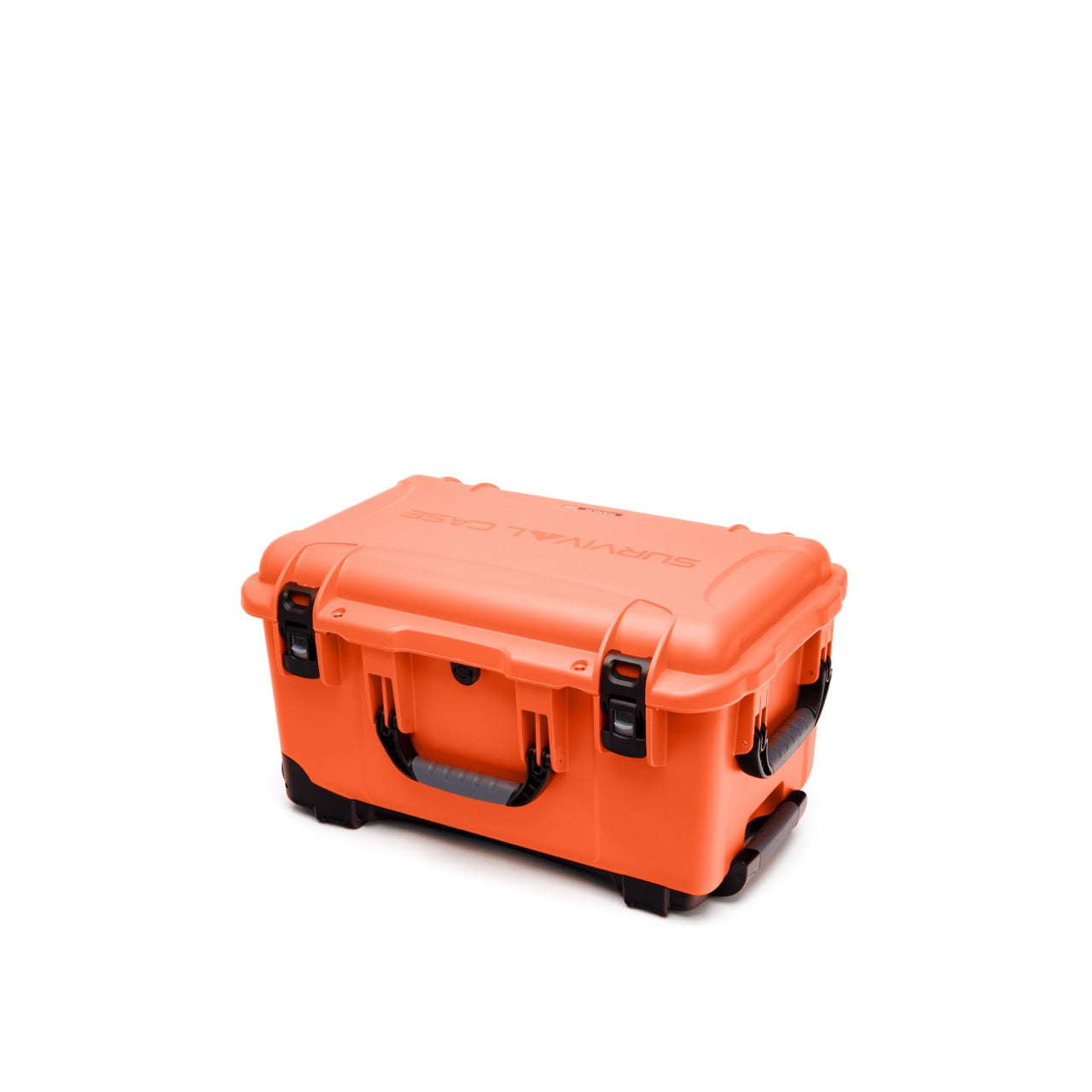 Nanuk 938 Case