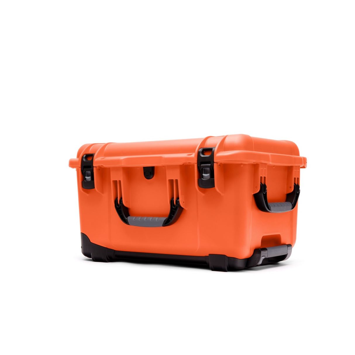 Nanuk 938 Case