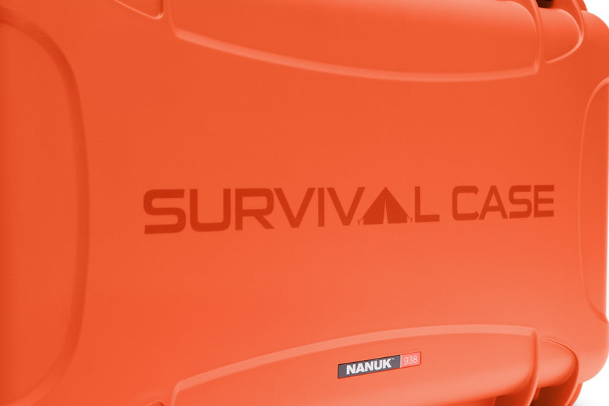 Nanuk 938 Case