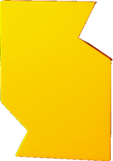 GOAST Customized target