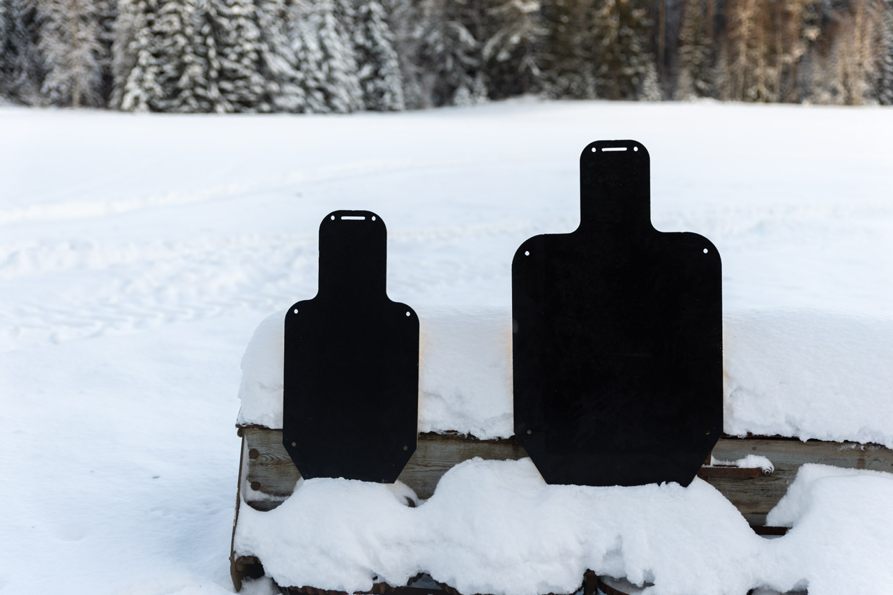 GOAST PRO - E-Type Target