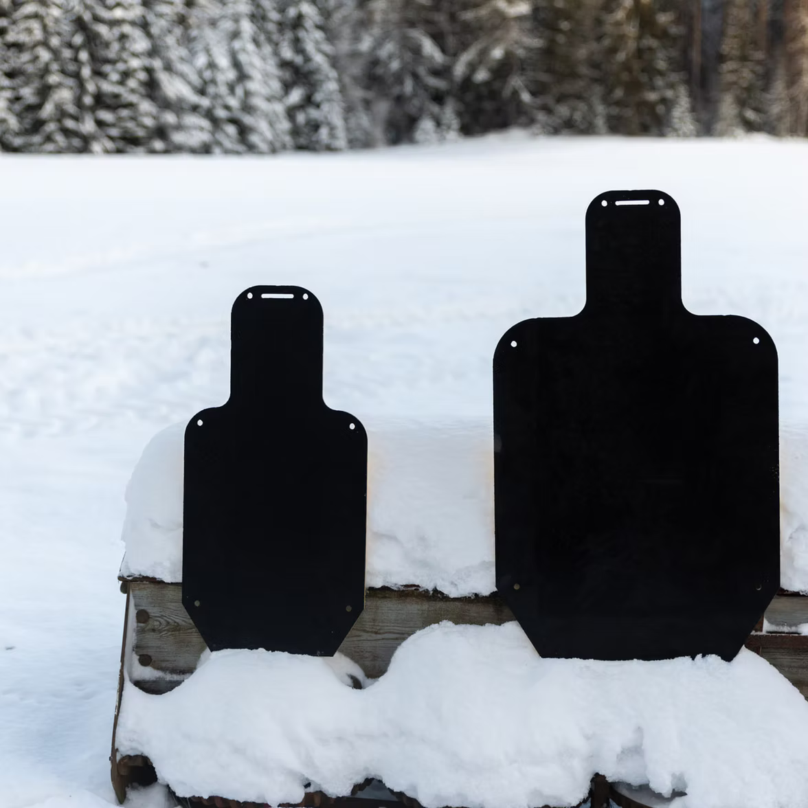 GOAST PRO - E-Type Target