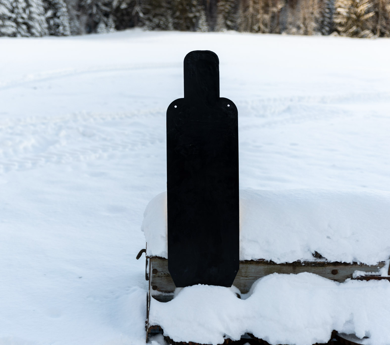 GOAST PRO - E-Type Target