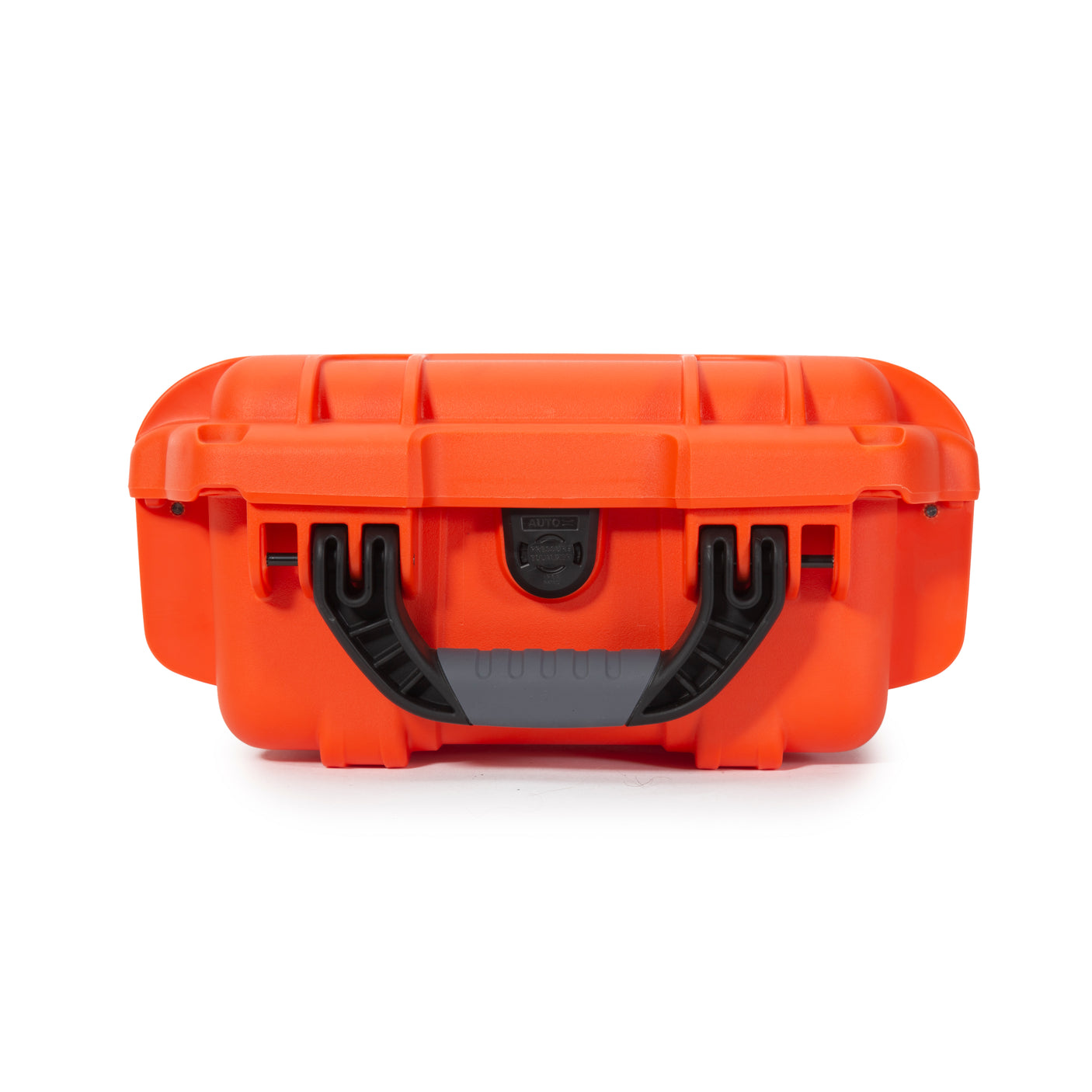 Nanuk 905 Case