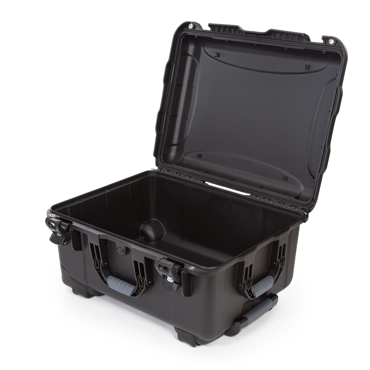 Nanuk 950 Case