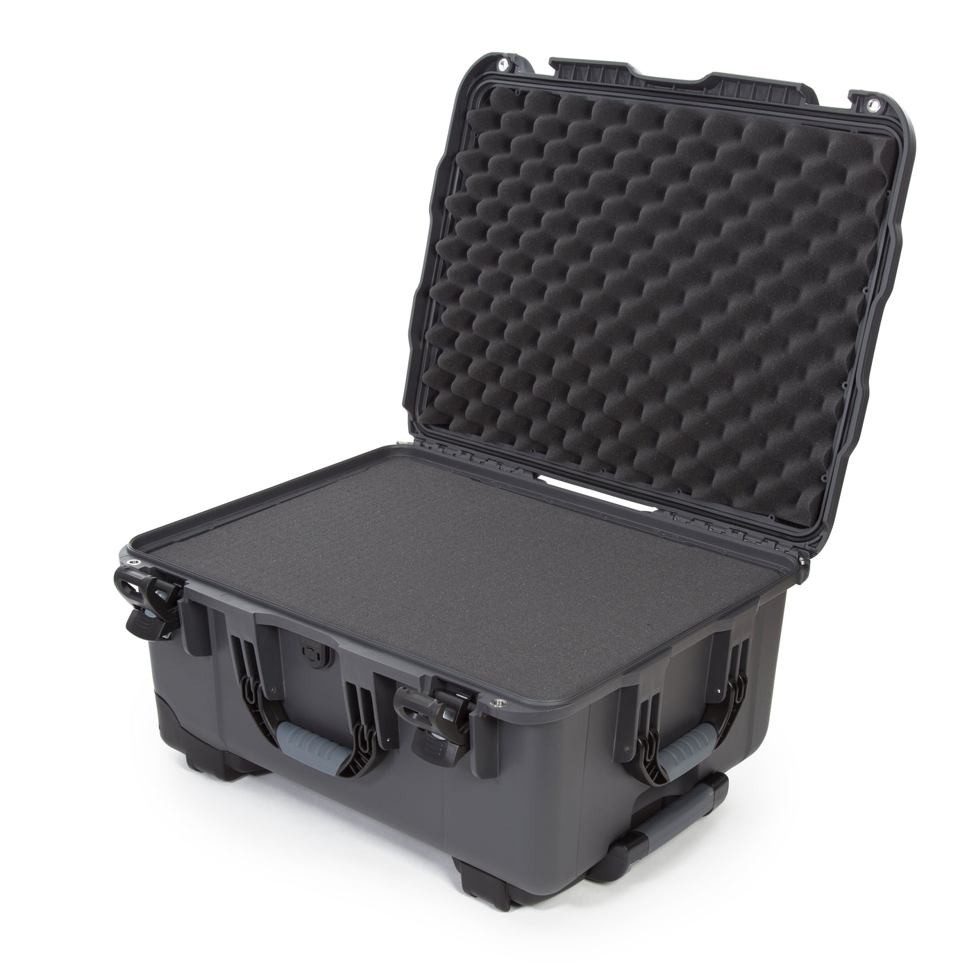 Nanuk 950 Case