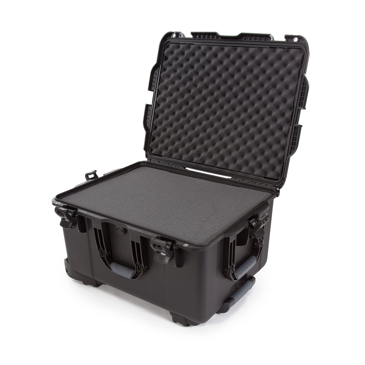 Nanuk 960 Case